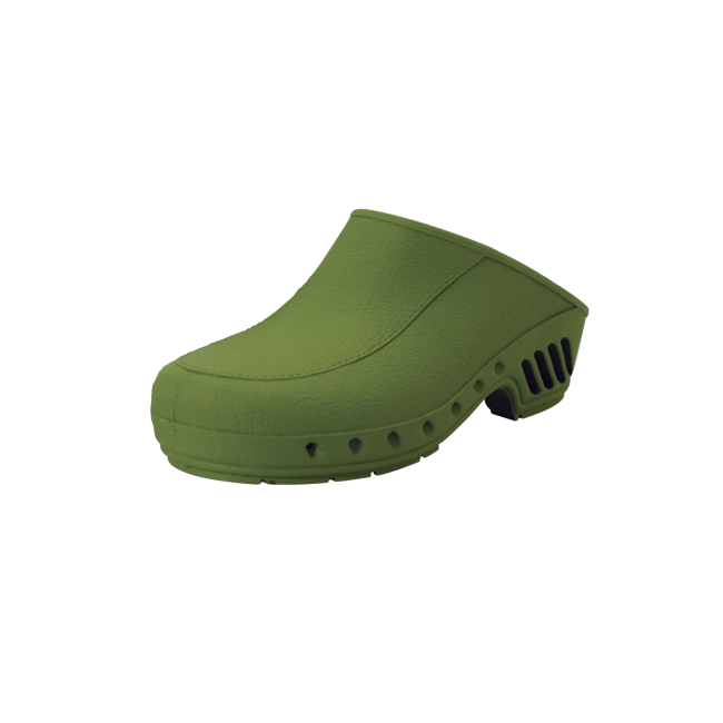 sabot aude vert ref 2371 - snv