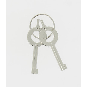 Set of 2 handcuff keys 543.3 - GK
