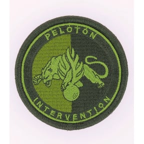 Écusson Peloton Intervention Gendarmerie Basse visi. Vert