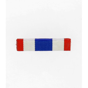 Barrette dixmude Protection Militaire du Territoire