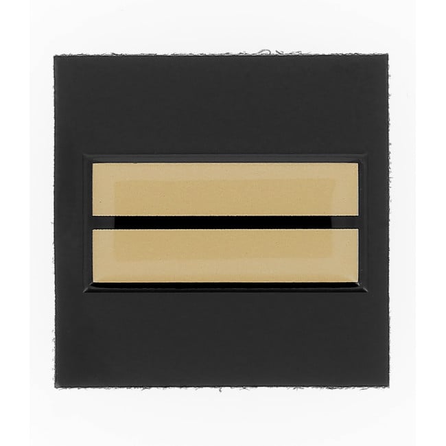Galon de poitrine résine GM - Lieutenant