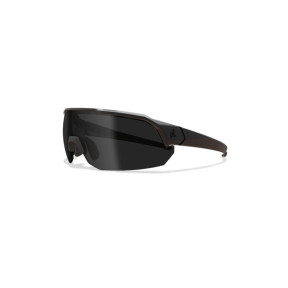 Óculos balísticos Arc Light (lente Polarizante) - Preto - Edge Tactical