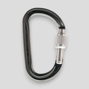 Leichter asymmetrischer Karabiner Am'D mit Screw-Lock® Verriegelung - Schwarz - Petzl