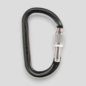 Mousqueton asymétrique léger Am'D à verrouillage Screw-Lock® - Noir - Petzl