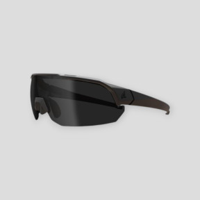 Arc Light Ballistische Schutzbrille (Rauchglas) - Schwarz - Edge Tactical