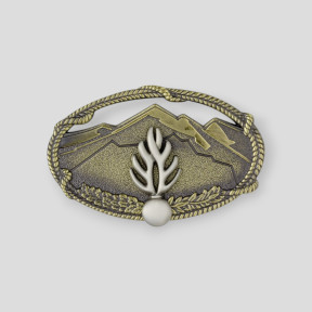 Insignia de Metal Certificado Elemental de Montaña CEM