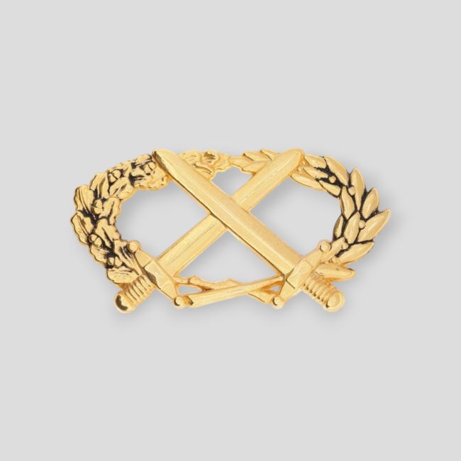 BMP Goud Brevet Insignia - Ares