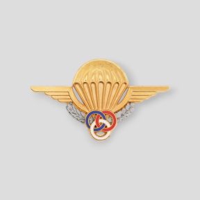 Odznaka Brevet Instruktor - Ares