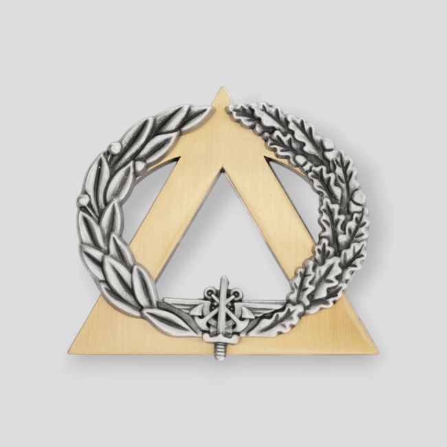 Insignia Diploma Socorrista Plata - Ares