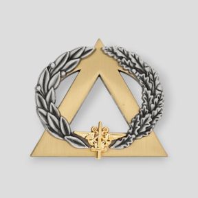 Odznaka Brevet Ratownik Złoto - Ares