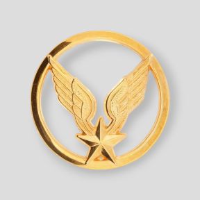 Distintivo de Boina Aviação Ligeira do Exército - Ares
