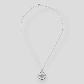 Medaille hanger met Zilveren Para Brevet insigne - Ares
