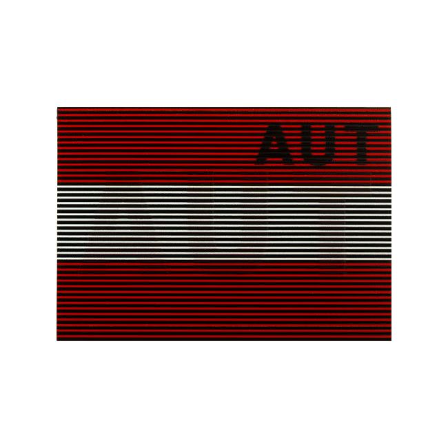 Doppel-Patch IR AUT Color - Clawgear