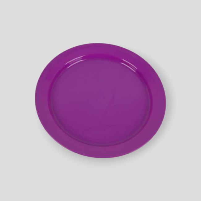 Plat plastic bord 24cm - Paars - Highlander