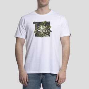 T-Shirt Leaves - Blanc - CloMod