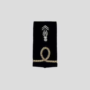 FOURREAUX GENDARMERIE DEPARTEMENTALE BRODE Aspirant - Patrol Equipement