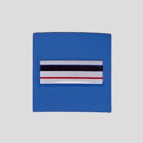 Galon de poitrine Résine avec velcro Police Municipale - Chef de Police