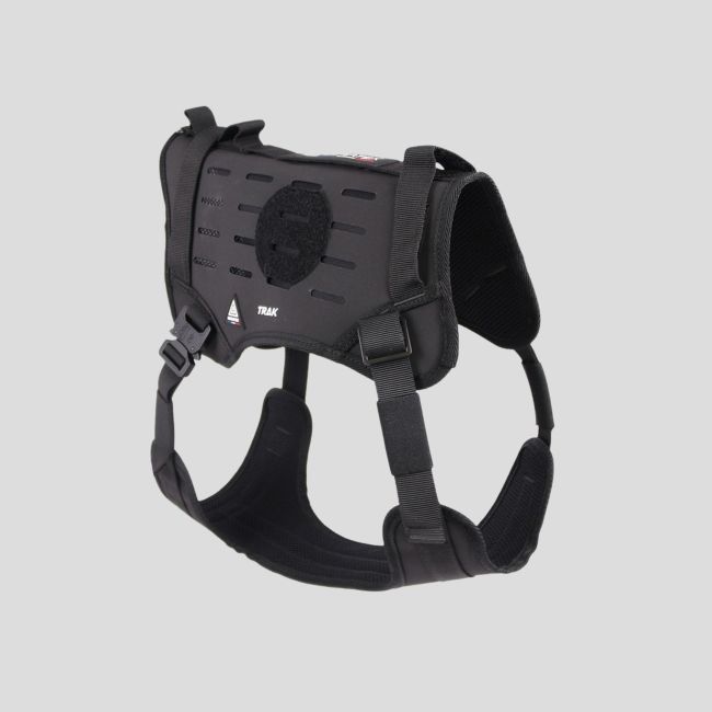 Harnais pour chien TRAK - Black Line - Dimatex