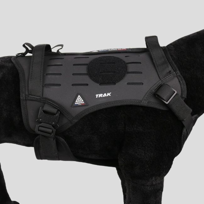 Harnais pour chien TRAK - Black Line - Dimatex