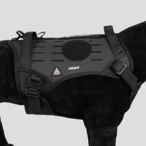 Harnais pour chien TRAK - Black Line - Dimatex
