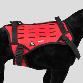 Harnais pour chien TRAK - Rouge - Dimatex