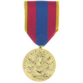 Medal obrony narodowej złoty