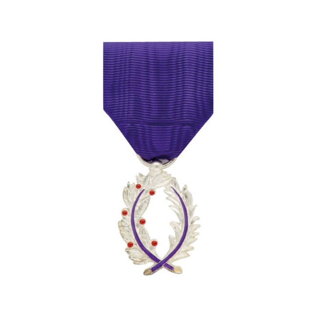 Ordensmedaille Ritter der Palmes Académiques
