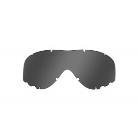 Rookglas voor ballistisch beschermingsmasker Spear - Wiley X