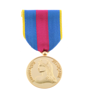 Médaille réservistes volontaires défense et sécurité intérieure or - DMB Cholet