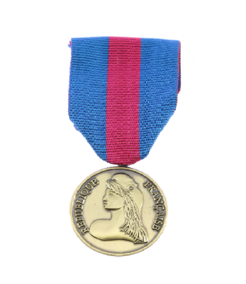 Médaille réservistes volontaires défense et sécurité intérieure bronze - DMB Cholet