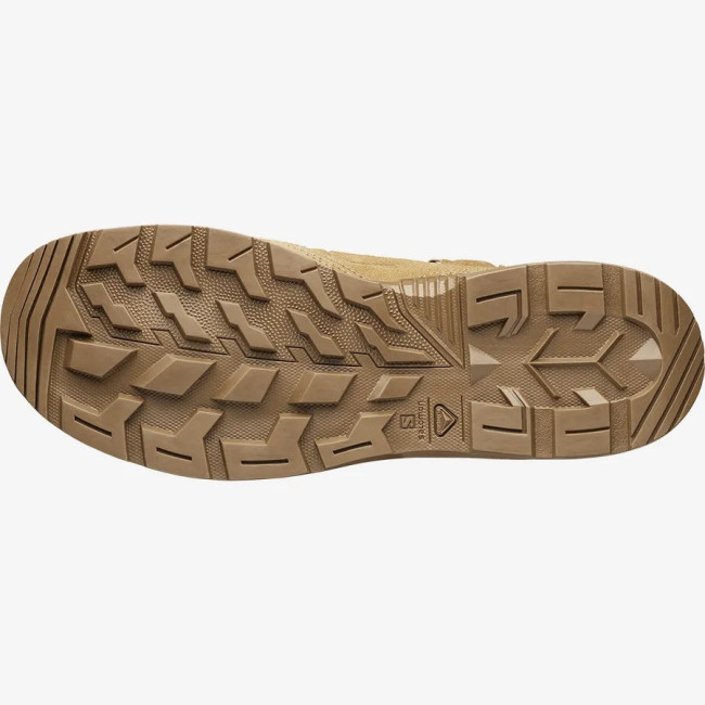 Schoenen GUARDIAN COYOTE FDE - Salomon