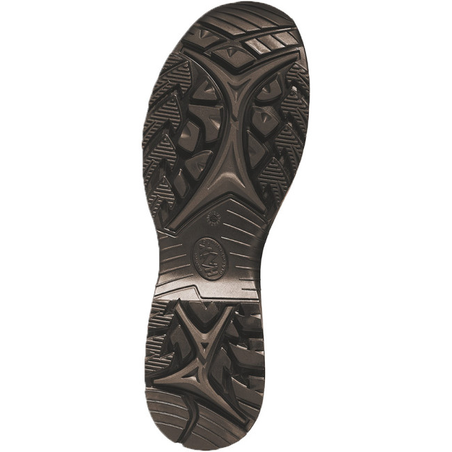 Schoenen BLACK EAGLE Nature GTX low - Haix