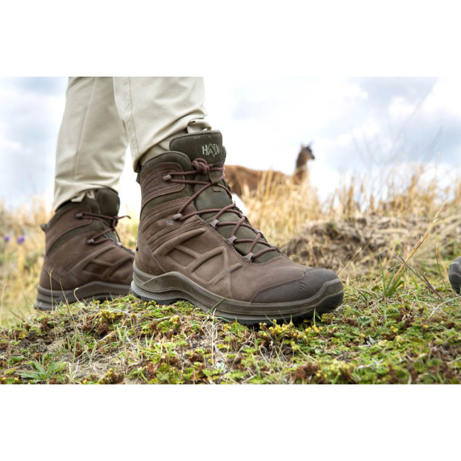 Schoenen BLACK EAGLE Nature GTX mid - Haix