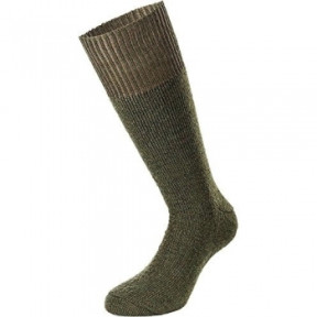 Lange Thermo Control LG Socken Grün - Albatros