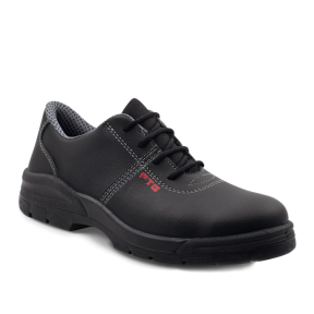 SCHOENEN FTG PIREO S3 SRC
