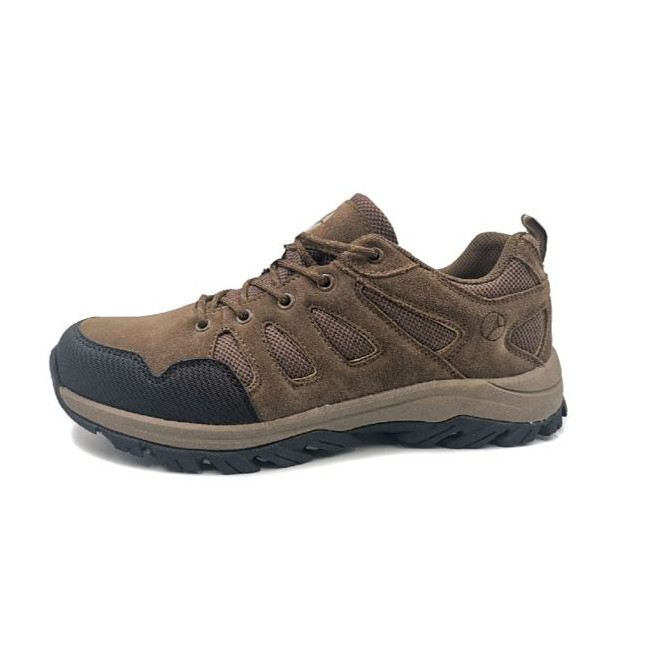 Torrato CTX Low Schuhe Braun - Albatros