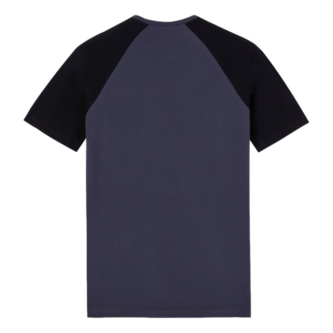 T-shirt tweekleurig Temp-IQ Grijs en zwart - Dickies