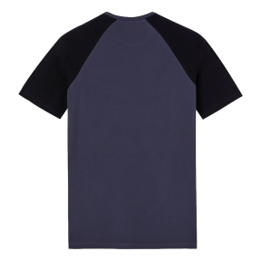 T-shirt tweekleurig Temp-IQ Grijs en zwart - Dickies