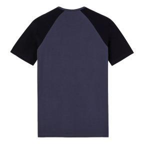 Zweifarbiges T-Shirt Temp-IQ Grau und schwarz - Dickies
