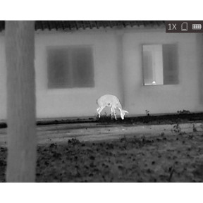 Monoculaire de vision thermique Lynx Pro LH25 - Hikmicro