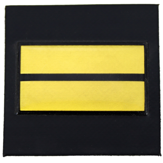 Galon de poitrine résine GM - Lieutenant
