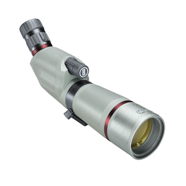 Lunette d'observation Bushnell Nitro 20-60X65 coudée - Bushnell