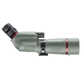 Lunette d'observation Bushnell Nitro 20-60X65 coudée - Bushnell