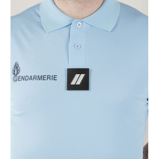 Borst galon hars GD - Carrière