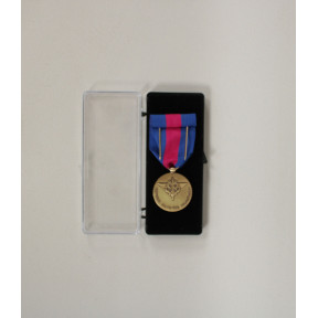 Medaglia D’Oltremare Francese – Bronzo Argentato – Modello Standard - 4