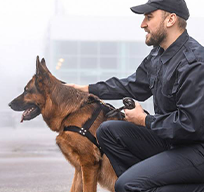 Treinador de cães
