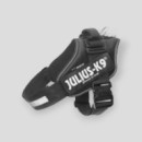 Equipement Canins